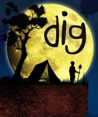 Dig 2011