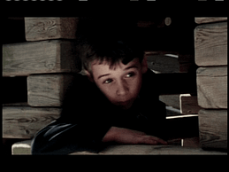 Apology to Josh Fleischman (8)