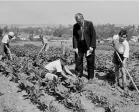 australia-kids-278x225