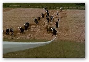 The Unknown Soldier's Patent Leather Shoes The Unknown Soldier's Patent Leather Shoes