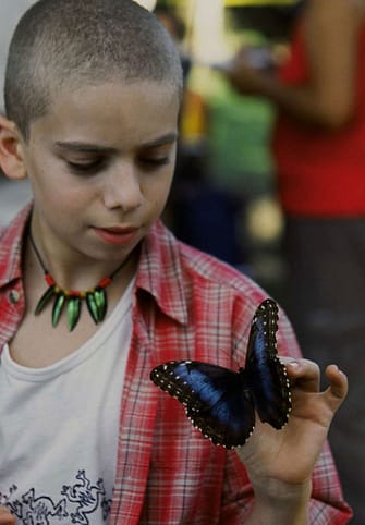 Marc Donato as Pete Carlton