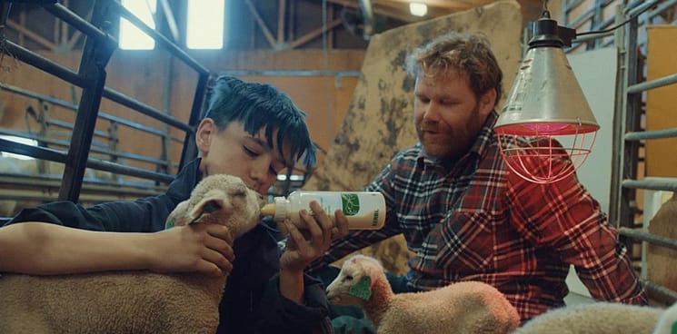 Asgaut helping at Kjell`s farm